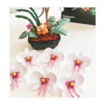 لگو گل ارکیده مدل Plante کد JK29012، تعداد حدودا 580 قطعه